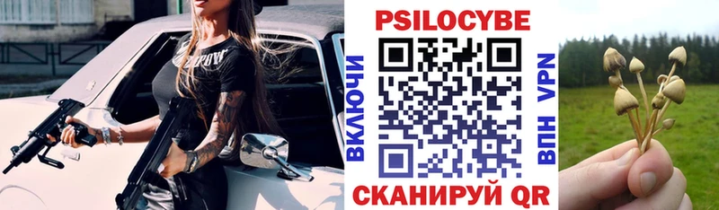 Псилоцибиновые грибы MAGIC MUSHROOMS  маркетплейс Telegram  Высоцк 